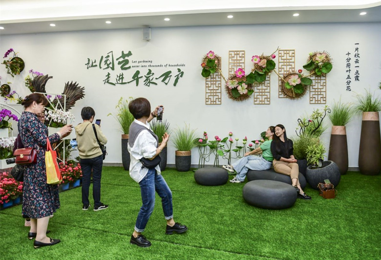 ��ͥ԰��չʾ�ֳ���������