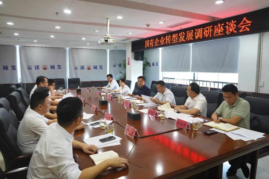 吴国良调研国有企业转型发展工作
