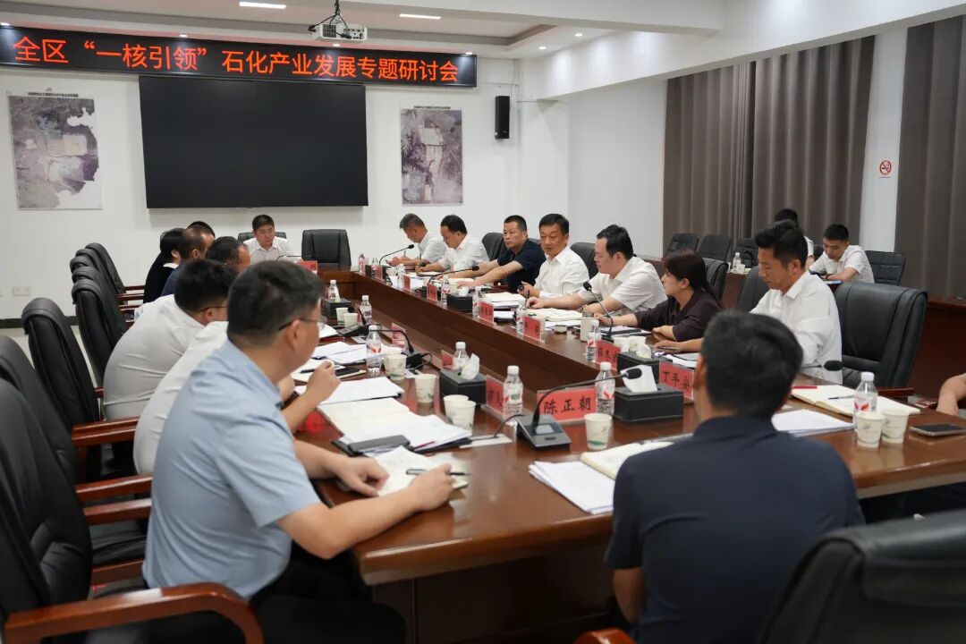 吴国良主持召开全区重大项目及“一核引领”工作情况专题调度会